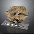 Natural Stone Specimen Placed On Mesh Pad With Blue Label And Measuring Ruler