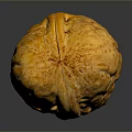 Whole Golden Brown Walnut with Textured Shell Natural Healthy Nut Snack Option