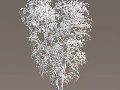 Winter Snow Trees Winter Trees Snow Trees Litter Trees Winter Trees Snow Trees Snow Trees Dead Trees Street Trees 3d model