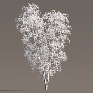 Winter Snow Trees Winter Trees Snow Trees Litter Trees Winter Trees Snow Trees Snow Trees Dead Trees Street Trees 3d model