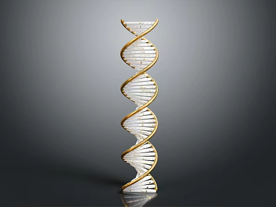 Medical Device Featuring DNA Double Helix Structure For Molecular Genetic Analysis 3d model
