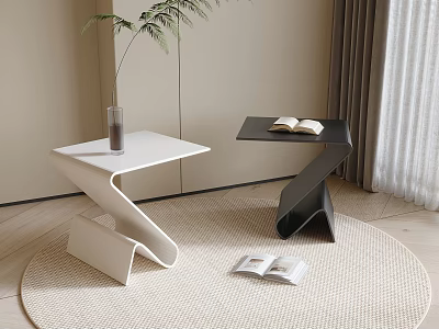 Modern Z Shaped Coffee Tables In Black And White On Woven Rug With Books And Plant 3d model