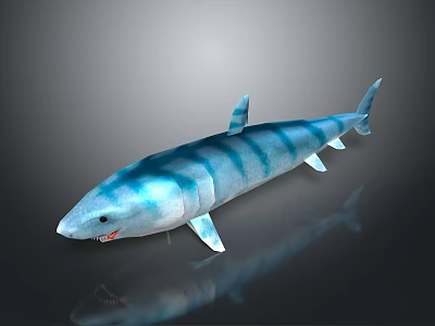 Blue and White Striped Shark 3D Model on Dark Background with Reflection 3d model