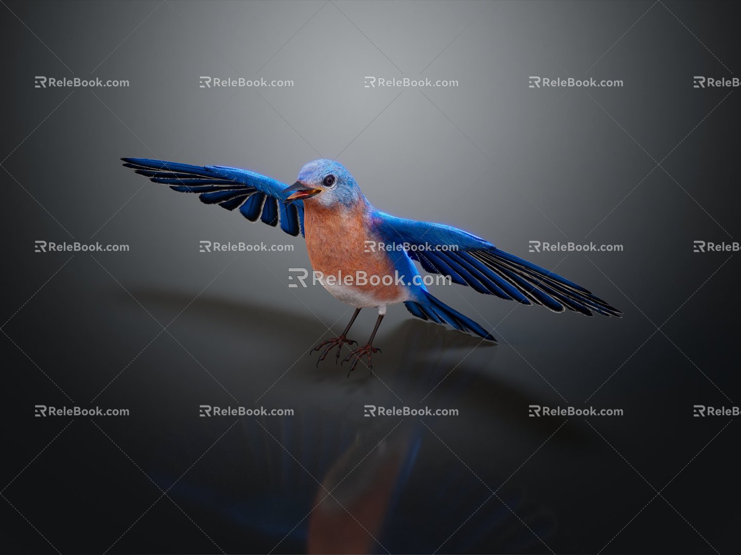 Modern bird tropical bird ornamental bird 3d model