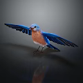 Vibrant Blue Bird With Spread Wings Perched On Reflective Surface