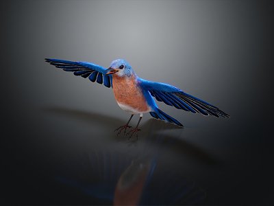 Modern bird tropical bird ornamental bird 3d model