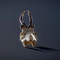 White Animal Skull With Curved Horns On Dark Background And Shadow