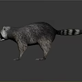 Realistic 3D Rendered Raccoon With Gray Fur And Striped Tail In Standing Pose