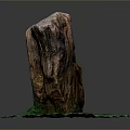 Natural Green Grass Plant Growing Around Weathered Wooden Stump On Circular Base