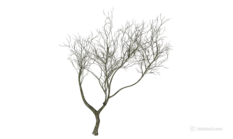 Leafless Arbor With Slender Branches Standing Isolated On White Background 3d model 