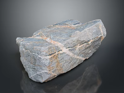 Natural Gray Stone With Wood Like Texture And Rough Surface Details 3d model
