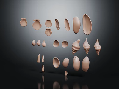 Various Marine Animal Shells With Different Shapes Sizes Light Brown Beige Tones On Dark Background 3d model
