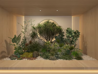Indoor Miniature Garden Design With Various Plants Circular Decor And Wooden Backdrop 3d model