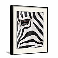 Modern Animal Painting Simple Black and White Children's Room Animal Zebra Decorative Painting 3d model