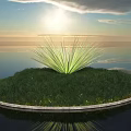 Green Grass and Agave Like Plant on Circular Island With Water Sky Sun and Reflection