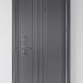 Modern Hinged Doors With Three Unique Panel Designs And Dark Finishes 3d model