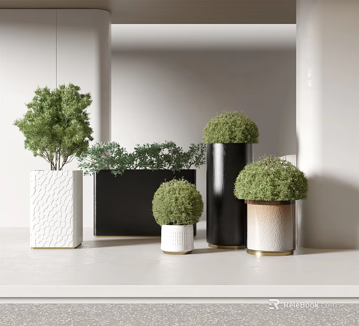 Small Round Bonsai Plants In Black White And Textured Ceramic Pots For Modern Interior 3d model 