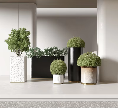 Small Round Bonsai Plants In Black White And Textured Ceramic Pots For Modern Interior 3d model