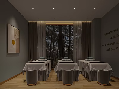 Elegant Beauty Salon Interior With Treatment Tables Large Window Trees Outside And Wooden Floor 3d model