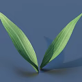 Two Fresh Green Leaves With Visible Veins On Blue Background