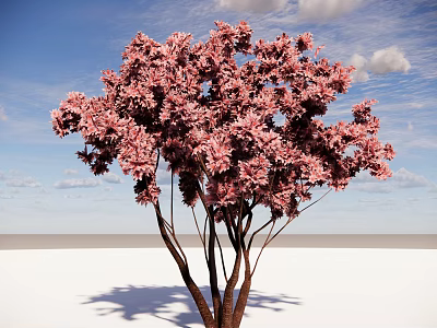 Pink Blossom Arbor With Brown Trunks Against Blue Sky And White Clouds 3d model