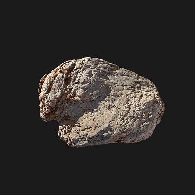 reef coral coral coral bone seabed 3d model