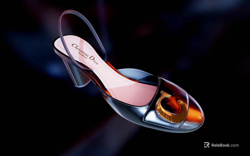 Christian Dior Women's Transparent Slingback High Heels With Golden Buckle And Stiletto Heel 3d model 