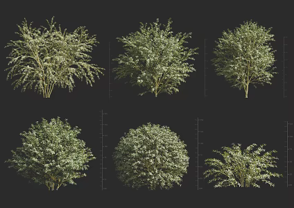 porcupine thorn bush ball 3d model