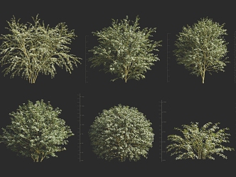 porcupine thorn bush ball 3d model