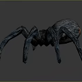 Detailed Blue And Red Spider With Long Legs 3D Sculptural Model On Gray Background