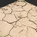 Dry Cracked Earth Surface With Visible Deep Cracks And Small Green Plants