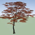 Deciduous Tree With Red Pink Leaves Dark Trunk Against Blue Sky White Clouds Green Grassland