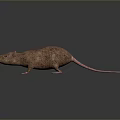 3D Rendered Brown Mouse With Pink Ears And Tail On Dark Background With Reflection