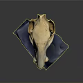 Detailed Animal Skull Anatomy With Visible Teeth And Bone Structure On Blue Stand