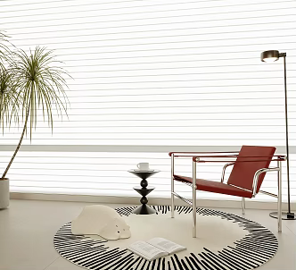 Modern Leisure Chair Single Chair Side Several Venetian Blinds Round Carpet 3d model