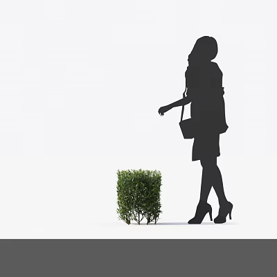 Green Bush Plant Near Walking Woman Silhouette With High Heels And Handbag 3d model