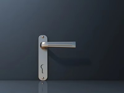 Silver Metal Door Handle With Long Striped Design Keyhole And Reflective Surface On Dark Gray Door 3d model