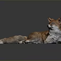 Red Fox Game and Movie Character Lying on Black Surface with Reflection 3d model