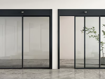 Interior With Black Frame Glass Sliding Doors Green Plant White Wall And Gray Concrete Floor 3d model