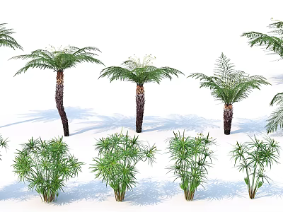 Various Tree Species Including Palm Trees With Green Foliage And Trunks On White Background 3d model