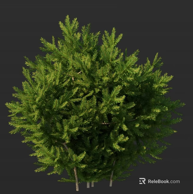 Lush Evergreen Arbor With Dense Green Foliage And Rounded Canopy For Garden Landscape 3d model 
