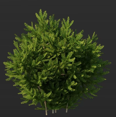 Lush Evergreen Arbor With Dense Green Foliage And Rounded Canopy For Garden Landscape 3d model