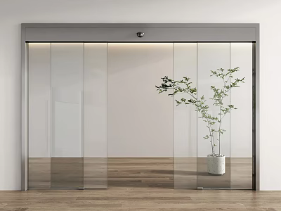 Modern Glass Sliding Door Interior With Potted Plant And Wooden Floor 3d model