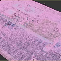 Detailed Cartoon Scenery Aerial View Building Parking Lot Lawn and Pavilion