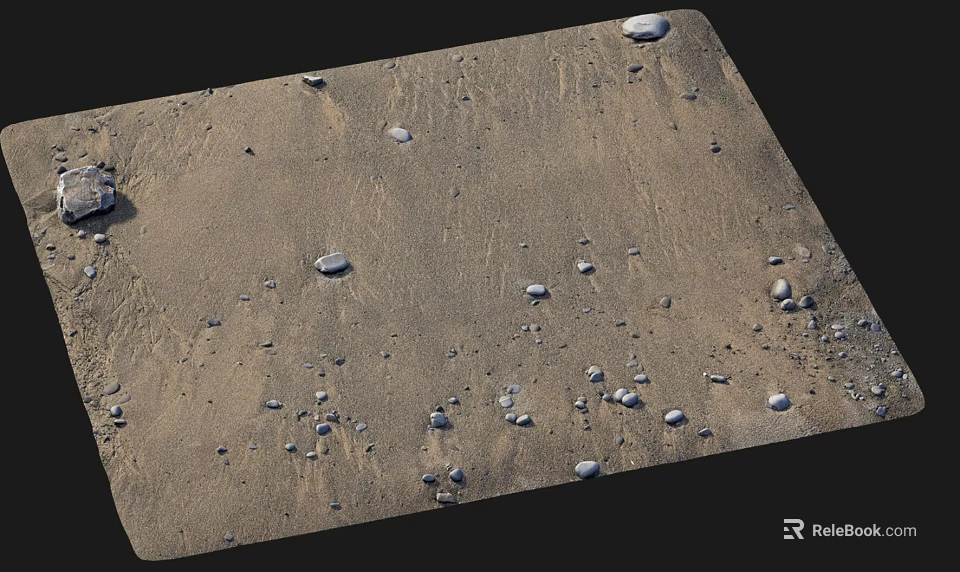 Sandy Ground With Scattered Pebbles Texture 3d model