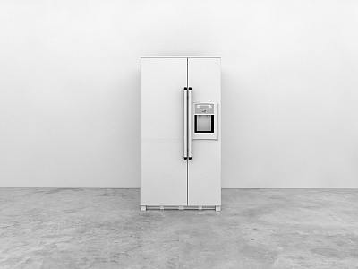 Refrigerator model