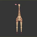 Giraffe Toy Model With Beige Body Pink Spots And Purple Feet Standing On Dark Background