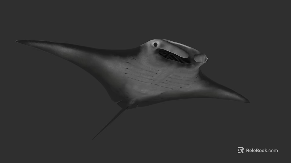 Graceful Manta Ray Swimming With Large Pectoral Fins In Ocean Waters 3d model 