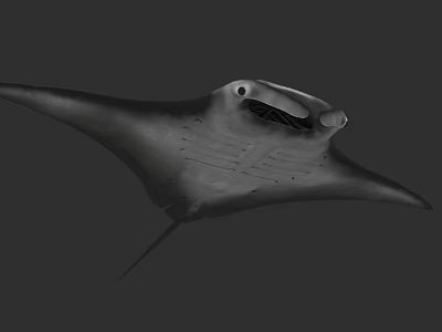 Graceful Manta Ray Swimming With Large Pectoral Fins In Ocean Waters 3d model