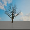 Bare Arbor Standing on Snowy Ground With Blue Sky White Clouds and Reflection 3d model